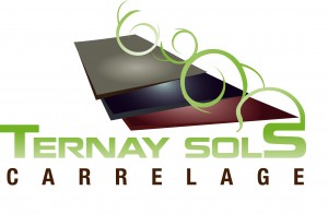 Logo_TernaySols-300x196